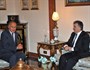 Cumhurbaşkanı Gül Mısır Dışişleri Bakanı'nı Kabul Etti